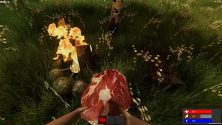 Скриншот 7 к игре Dry Grass