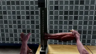 Скриншот 7 к игре Human Farm