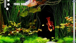 Скриншот 1 к игре Aquarium Life