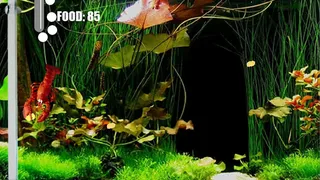 Скриншот 2 к игре Aquarium Life
