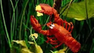Скриншот 4 к игре Aquarium Life