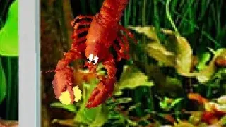 Скриншот 5 к игре Aquarium Life