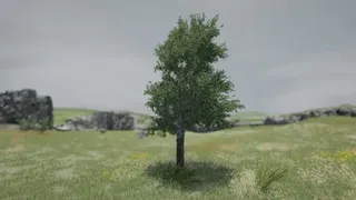 Скриншот 2 к игре Tree Simulator 2021