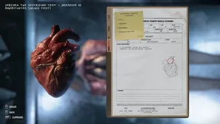 Скриншот 3 к игре Autopsy Simulator