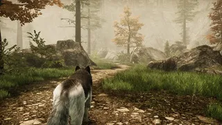 Скриншот 7 к игре Tale Of A Wolf