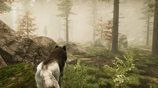 Скриншот 8 к игре Tale Of A Wolf