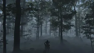 Скриншот 2 к игре Deranged Park Rangers