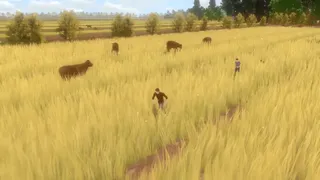 Скриншот 8 к игре Forgotten Fields