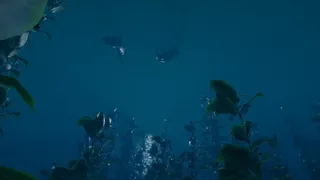 Скриншот 2 к игре Born of The Wild: The Depths
