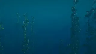 Скриншот 7 к игре Born of The Wild: The Depths