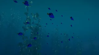 Скриншот 8 к игре Born of The Wild: The Depths