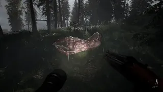 Скриншот 4 к игре Pendle Hill