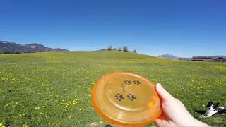 Скриншот 3 к игре BorderCollie Game