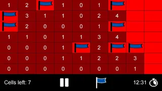 Скриншот 3 к игре Minesweeper X