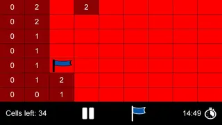 Скриншот 4 к игре Minesweeper X