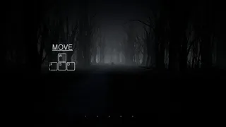 Скриншот 1 к игре The Sight in a mirror