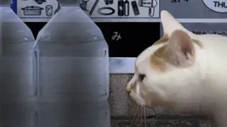 Скриншот 8 к игре Tsugunohi