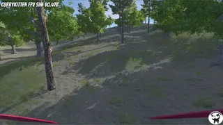 Скриншот 7 к игре CurryKitten FPV Simulator