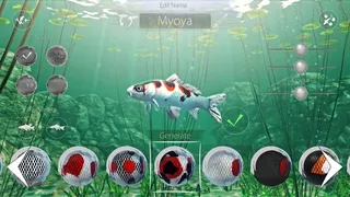 Скриншот 2 к игре My Koi