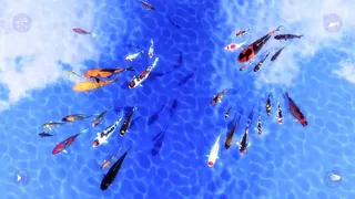 Скриншот 6 к игре My Koi
