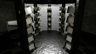 Скриншот 3 к игре Medicinal Herbs - Cannabis Grow Simulator