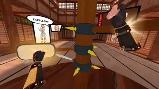 Скриншот 1 к игре Crazy Kung Fu