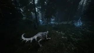 Скриншот 2 к игре Beautiful Light