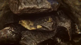 Скриншот 4 к игре Dinosaur Fossil Hunter: Prologue