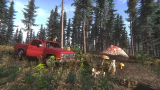 Скриншот 7 к игре Mushroom Challenge
