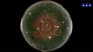 Скриншот 3 к игре Coronavirus - Nano Force