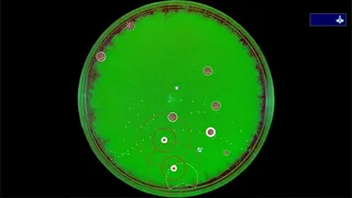 Скриншот 5 к игре Coronavirus - Nano Force