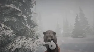 Скриншот 1 к игре Mystery Trails