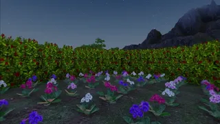Скриншот 6 к игре VR Zen Garden & ASMR Playground