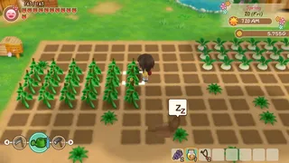 Скриншот 3 к игре STORY OF SEASONS: Friends of Mineral Town