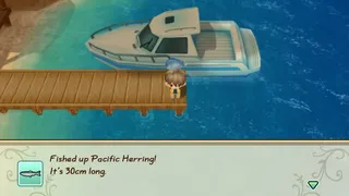 Скриншот 5 к игре STORY OF SEASONS: Friends of Mineral Town