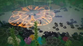 Скриншот 2 к игре Coral Island