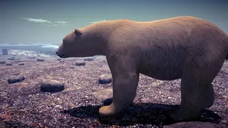 Скриншот 5 к игре Arctic Anxiety