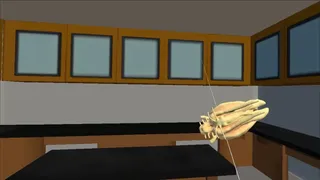 Скриншот 5 к игре Training Lab