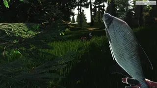 Скриншот 8 к игре Zoo World VR