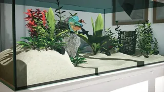 Скриншот 4 к игре Aquarium Designer
