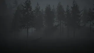 Скриншот 6 к игре Last Memory: Requiem