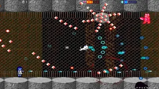 Скриншот 7 к игре GUN DOG ROCK RAPID