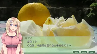 Скриншот 7 к игре 四国志でらっくす ～酒池肉うどん戦記～
