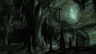 Скриншот 4 к игре The Elder Scrolls IV: Oblivion Game of the Year Edition Deluxe (2009)