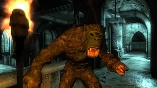 Скриншот 6 к игре The Elder Scrolls IV: Oblivion Game of the Year Edition Deluxe (2009)