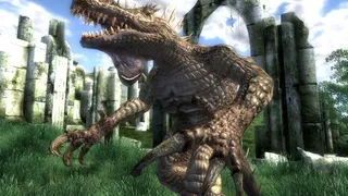 Скриншот 8 к игре The Elder Scrolls IV: Oblivion Game of the Year Edition Deluxe (2009)