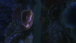 Скриншот 5 к игре 20,000 Miles Under the Sea