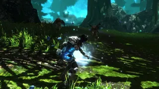 Скриншот 17 к игре Kingdoms of Amalur: Re-Reckoning