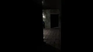 Скриншот 1 к игре Hanefield Asylum