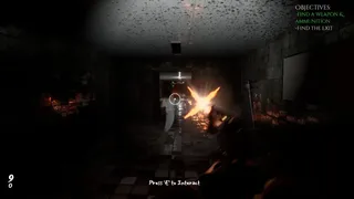 Скриншот 4 к игре Hanefield Asylum
